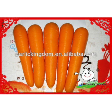 China Carrot